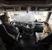 Camions Volvo s’intéresse à la sécurité de vos animaux de compagnie